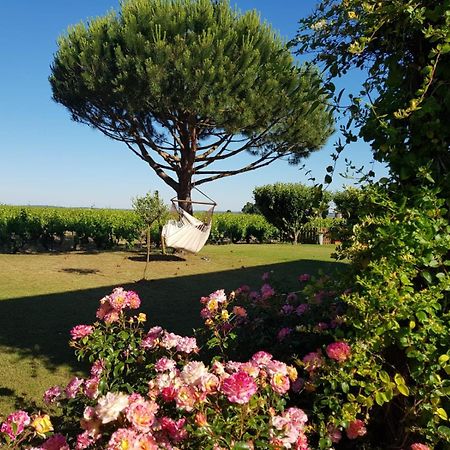 Bed and Breakfast Entre Loire Et Vignobles à Liré Extérieur photo