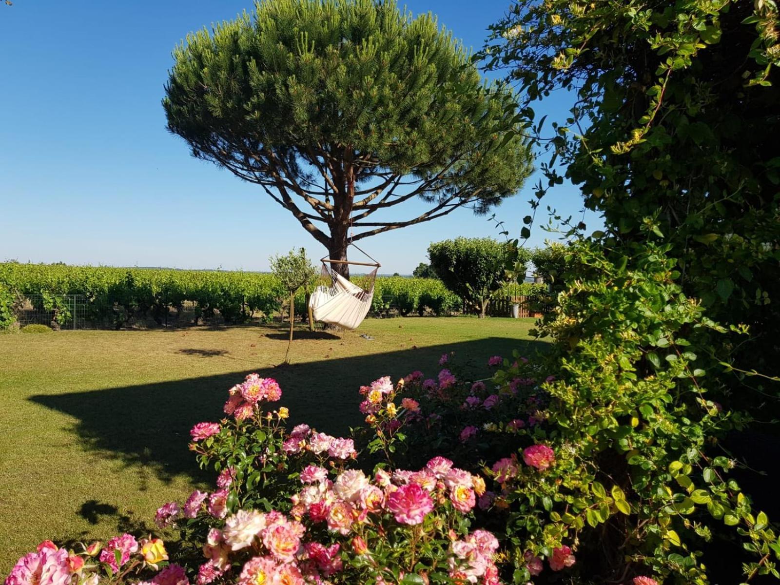 Bed and Breakfast Entre Loire Et Vignobles à Liré Extérieur photo